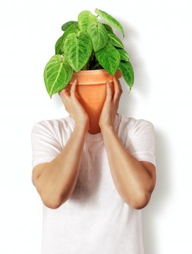 Person with a potted plant instead of head. Plantsman is a lifestile.